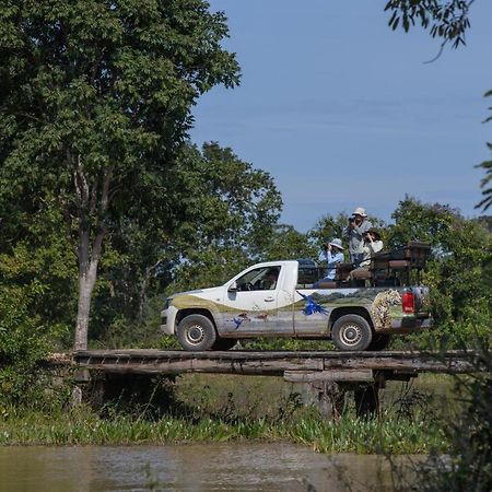 阿拉拉斯沼泽生态小屋客栈 Carvoalzinho 外观 照片