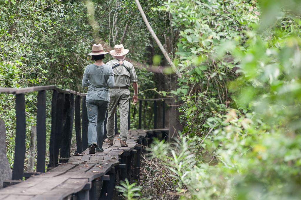 阿拉拉斯沼泽生态小屋客栈 Carvoalzinho 外观 照片
