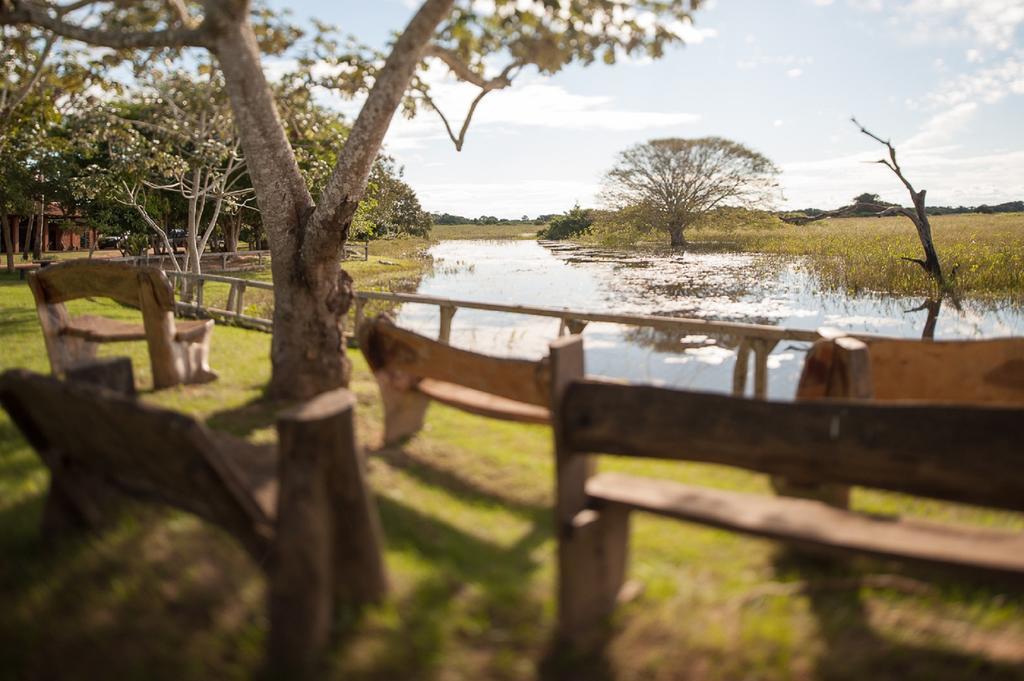 阿拉拉斯沼泽生态小屋客栈 Carvoalzinho 外观 照片