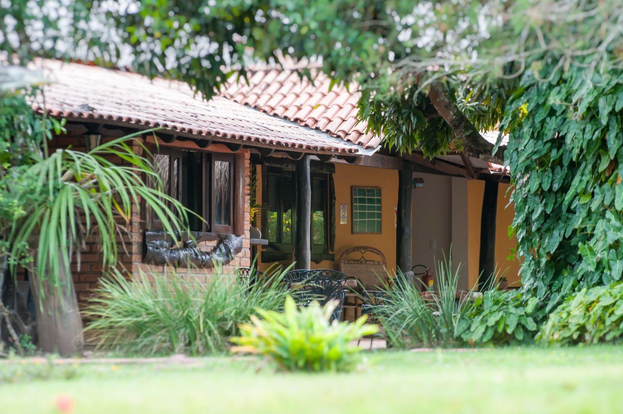 阿拉拉斯沼泽生态小屋客栈 Carvoalzinho 外观 照片